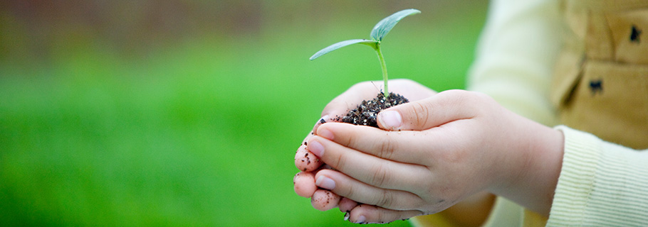 발달장애인 이미지